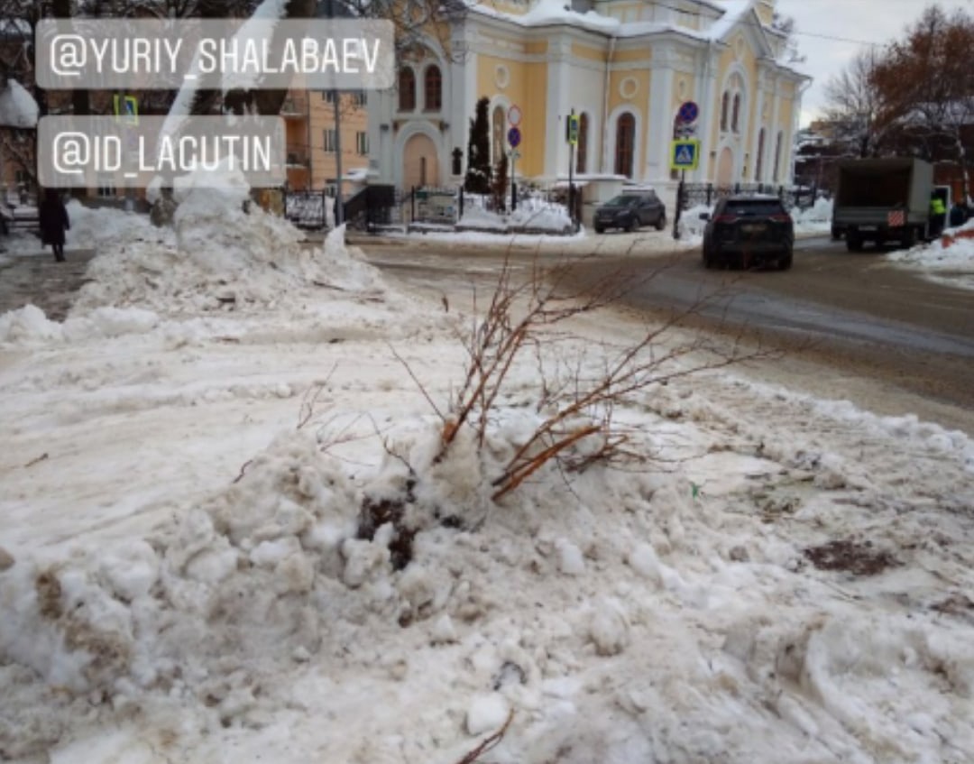 Снегоуборочная техника повредила кустарники в Квартале Церкви трех Святителей