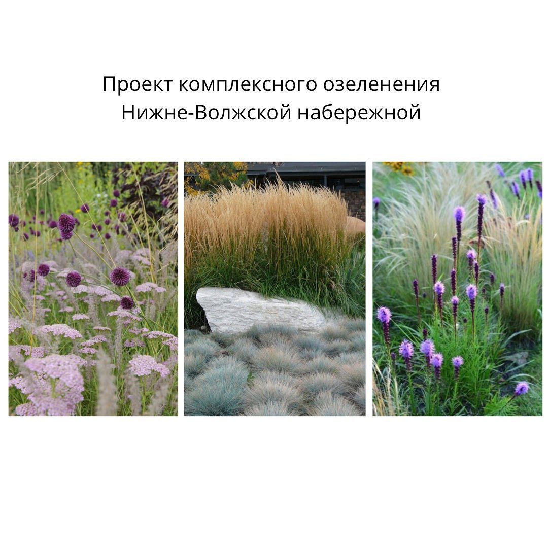 Нижне-Волжскую набережную планируют комплексно озеленить в Нижнем Новгороде
