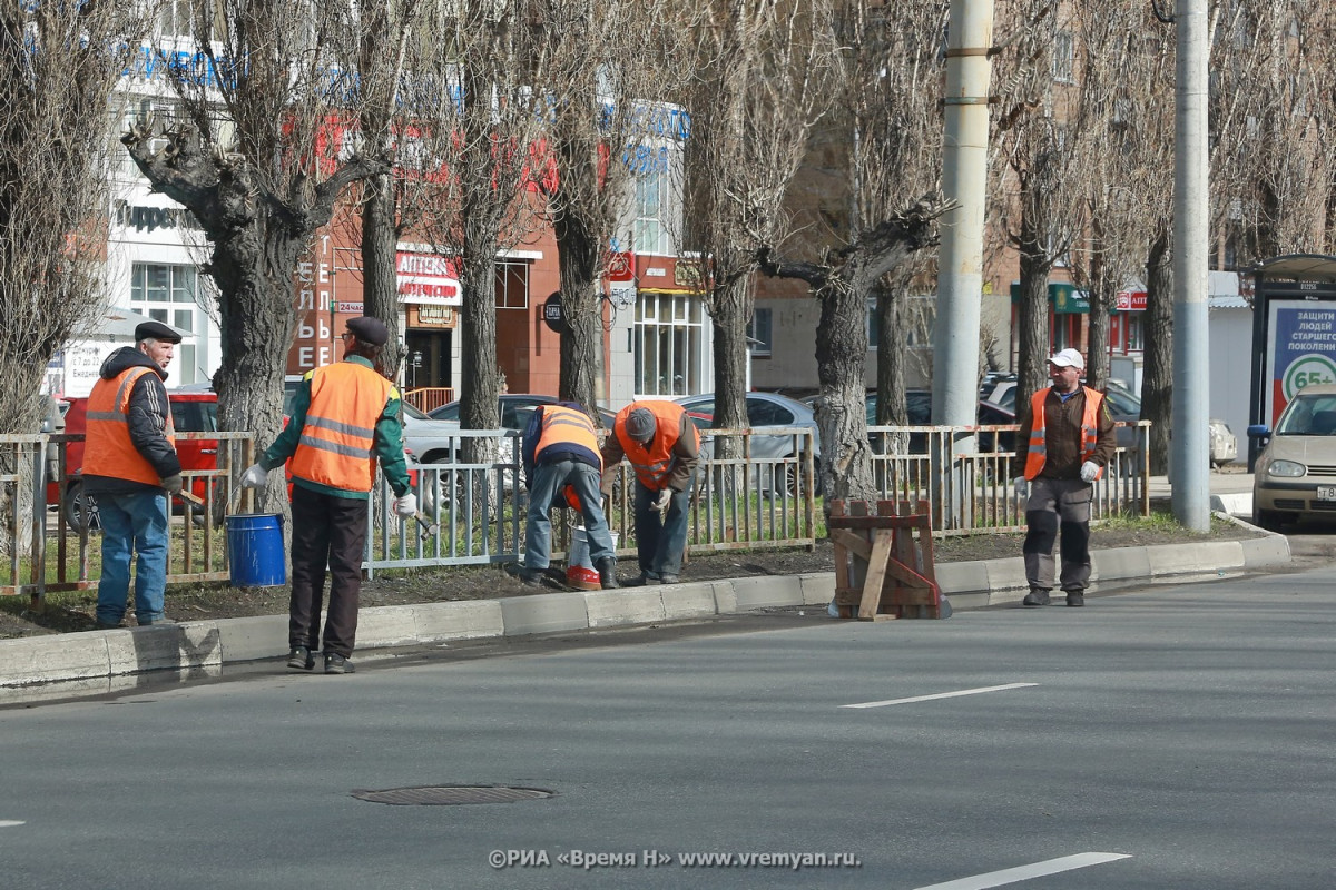 В Нижнем Новгороде началось благоустройство общественных пространств