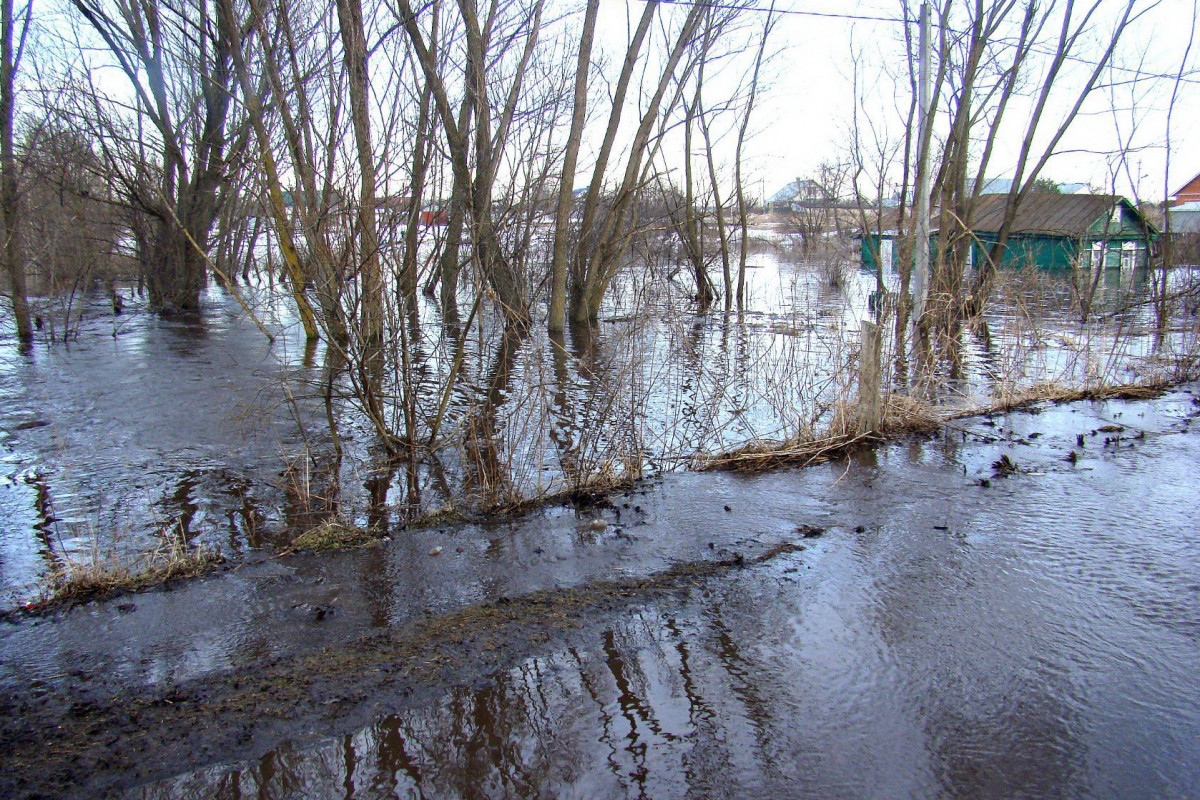 Паводковую ситуацию на территории Нижегородской области обсудили в Заксобрании
