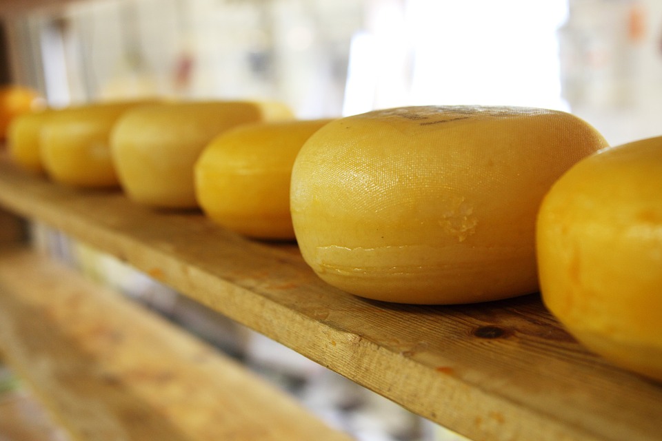 Сыр с антибиотиком обнаружили в Нижегородской области