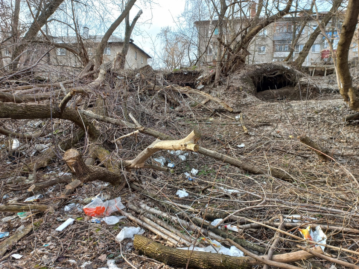 Свалку около реки Борзовка обследуют в Нижнем Новгороде