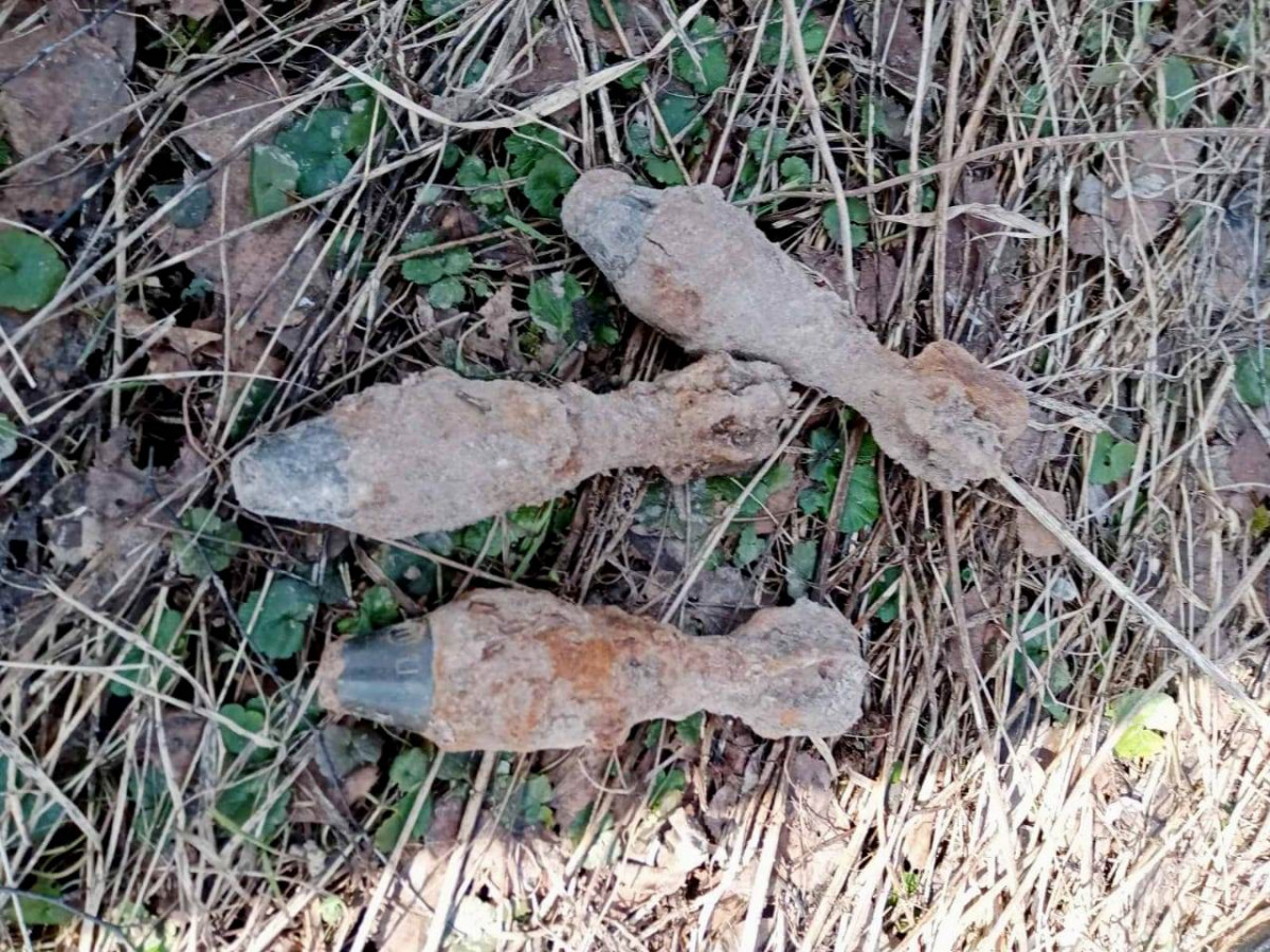 Снаряды времен ВОВ нашли в водоеме Арзамасского района