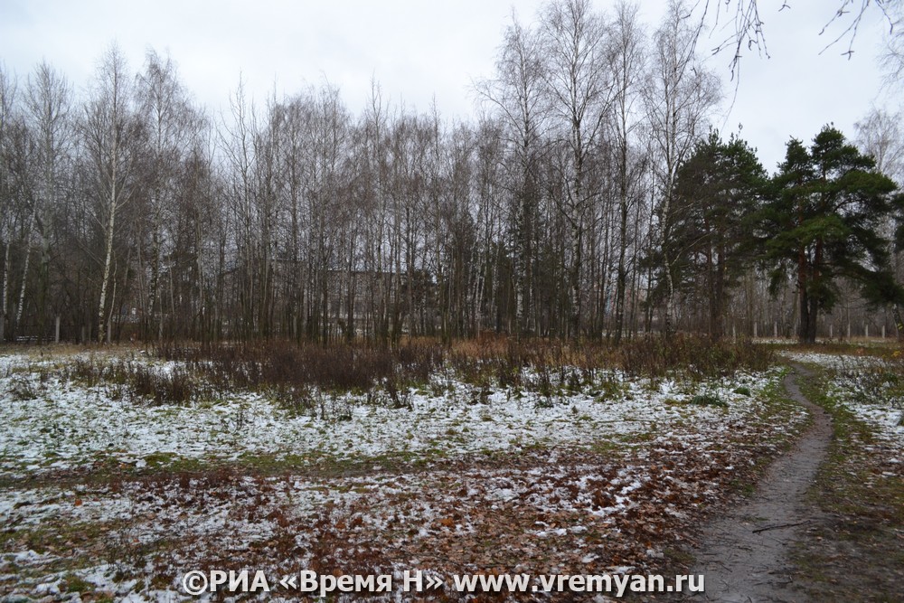 Гадюки проснулись на территории Нижегородской области
