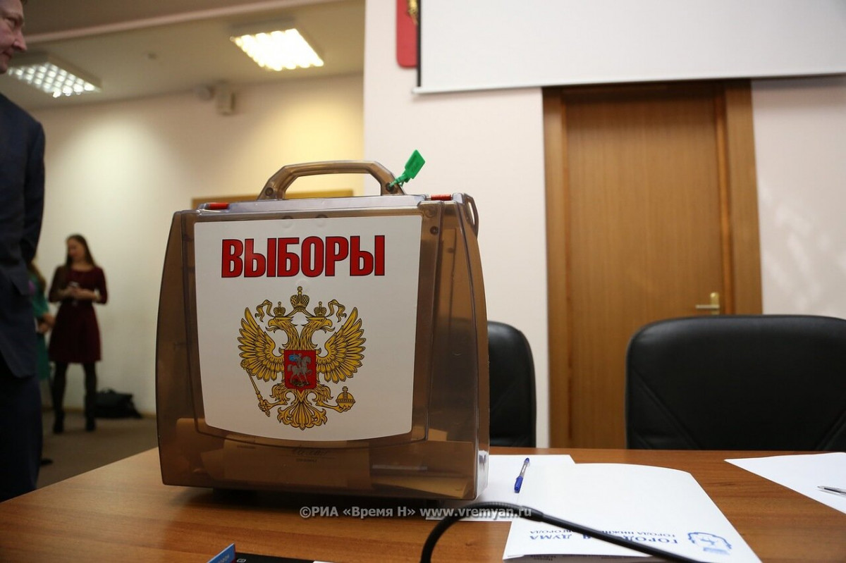 Состоялись выборы в совет депутатов Кстовского округа