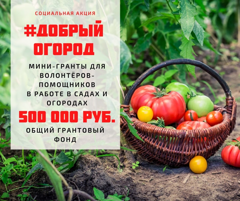Нижегородцев приглашают поучаствовать в акции #Добрый огород