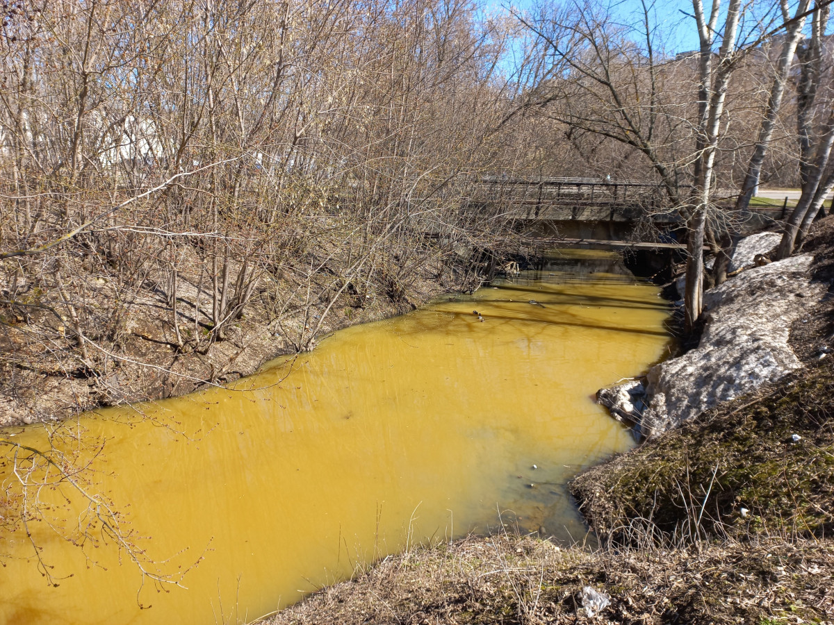 Вода в реке Борзовка стала желтой после слива с котельной в Ленинском районе