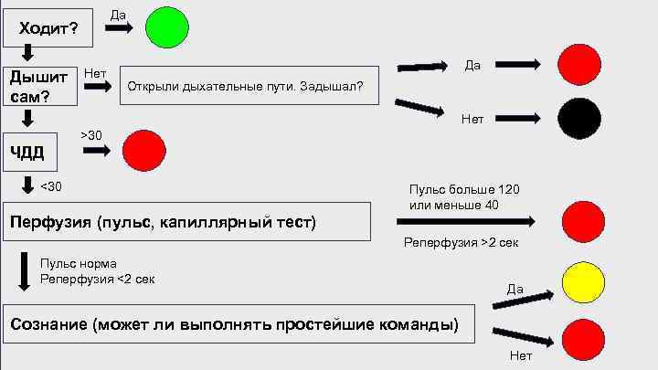 Триаж пациентов внедрят в практику нижегородские медучреждения в 2022 году