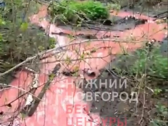 Вода в реке Кстовского района стала розовой