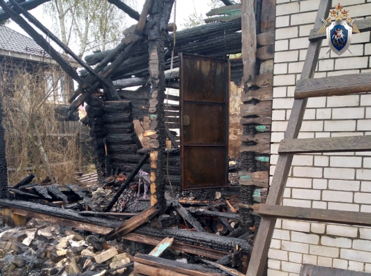 Пьяный житель Богородска задушил женщину и поджег дом с трупом