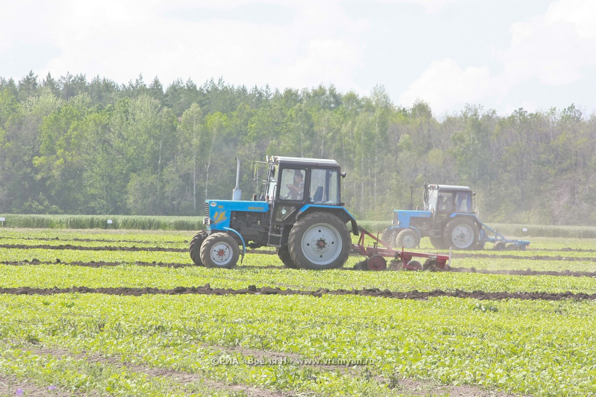 Тракторист пильнинского сельскохозяйственного производства умер в поле