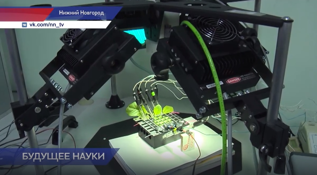 40 молодых ученых Нижегородской области получили награды за новые разработки