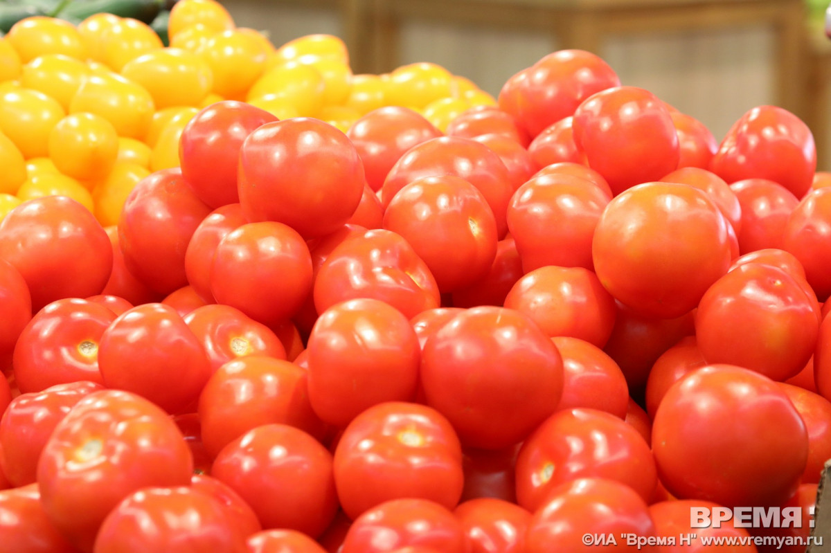 Опасный карантинный сорняк выявили в семенах томатов