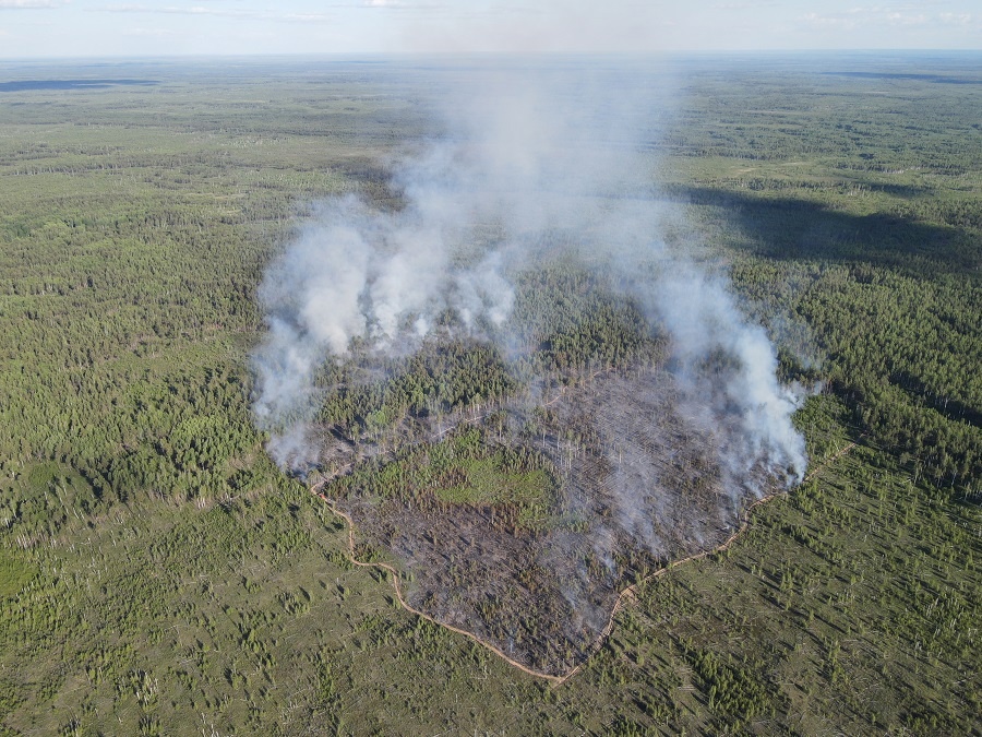 Пожар потушили на территории Керженского заповедника в Нижегородской области