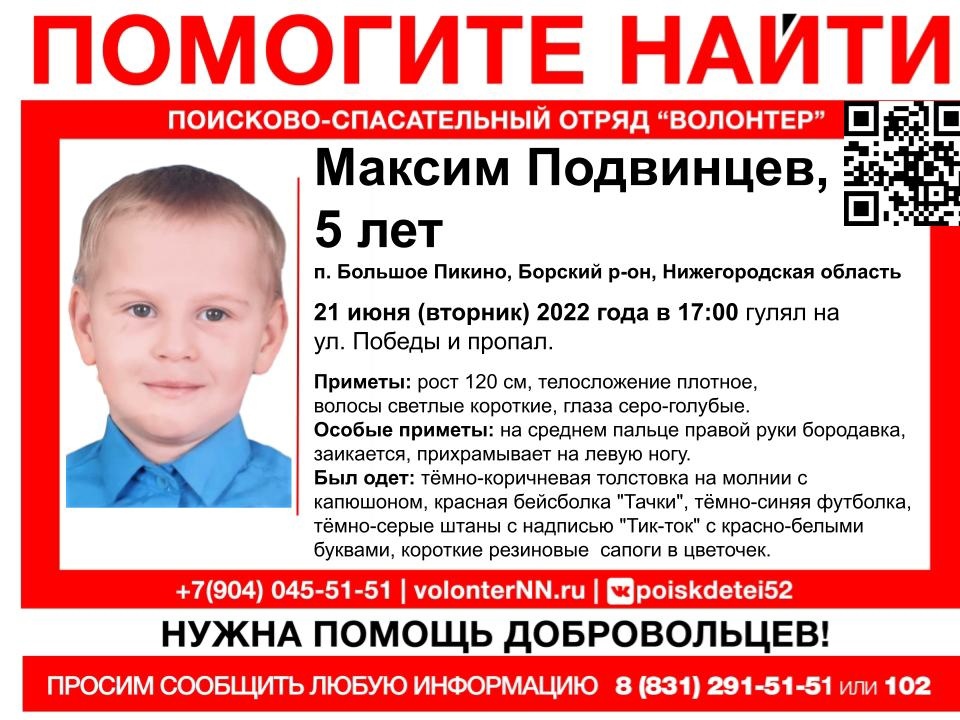 5-летний мальчик пропал в Борском районе 21 июня