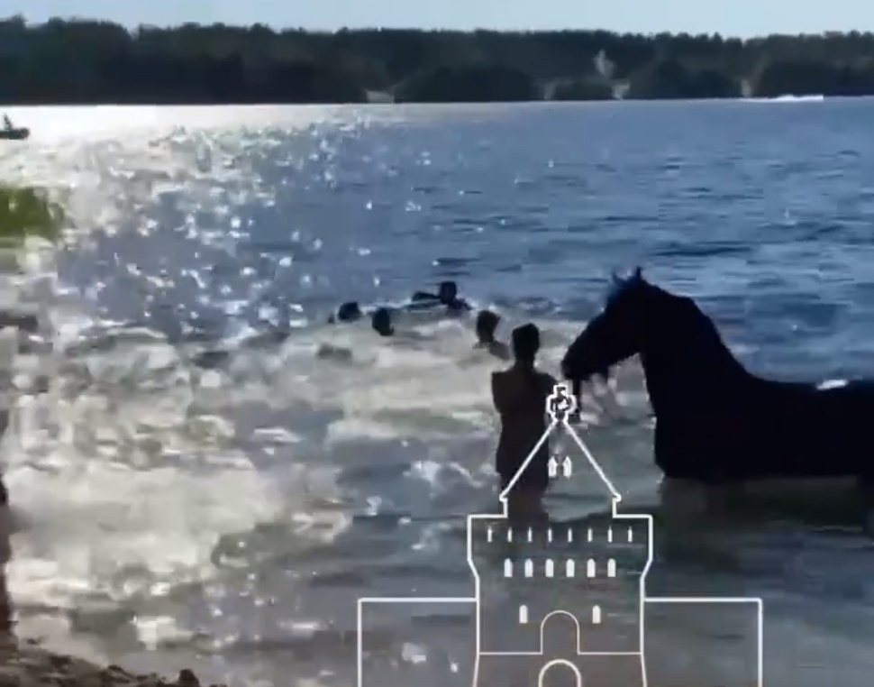 Лошадь утопили на пляже в Сормове