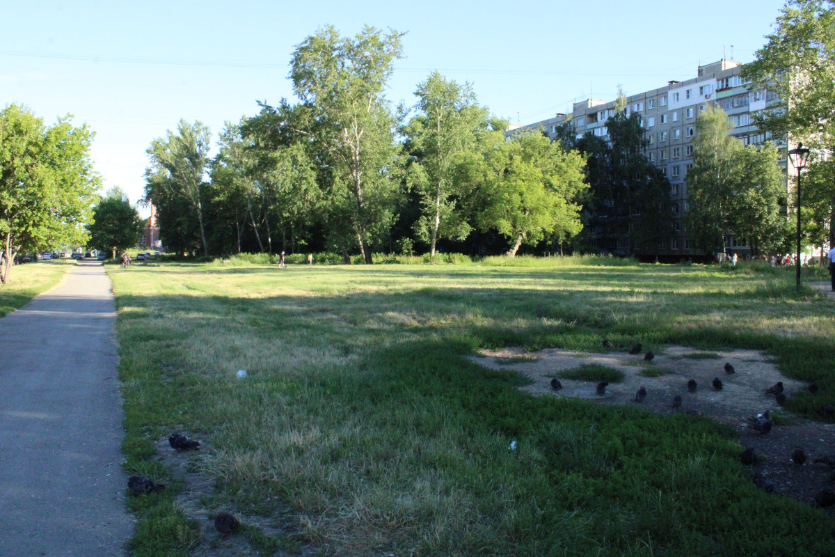Жители хотят видеть в сквере на улице Дьяконова зону отдыха и детскую площадку