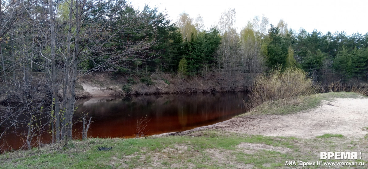 Нижегородцев приглашают на экскурсию по экотропе вдоль Линды