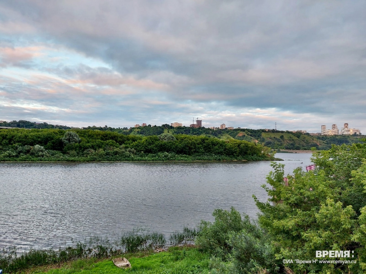 Более 2000 рыб спасено из браконьерских сетей в нижегородских водоемах в этом году