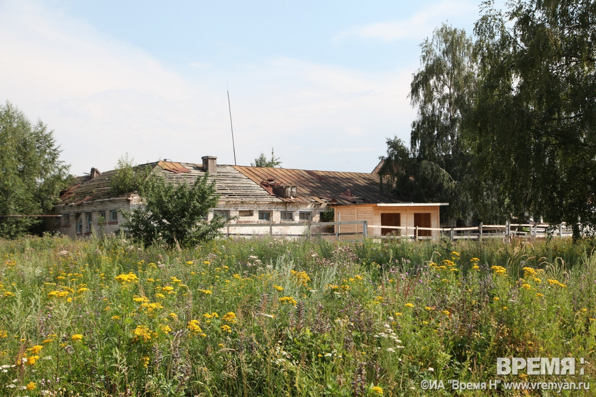 Нижегородский ипподром продолжает зарастать травой