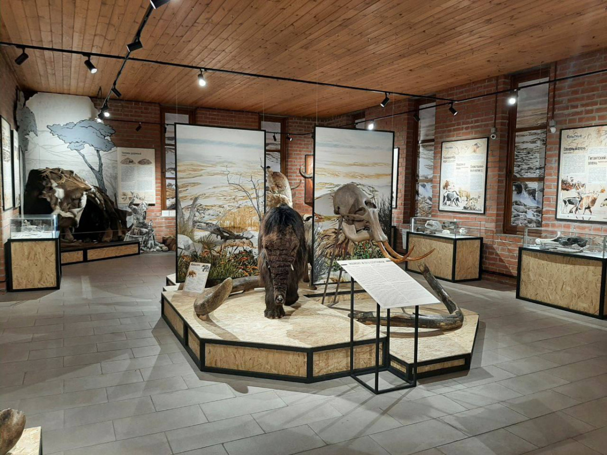Число посетителей Нижегородского государственного музея-заповедника выросло почти в два раза в 2022 году