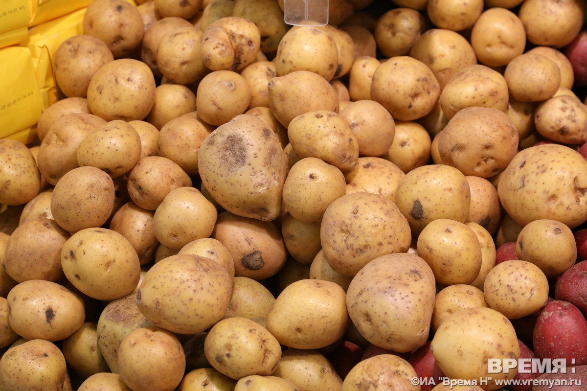 Превышение нитратов выявлено в картофеле из Нижегородской области