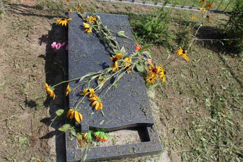 Несовершеннолетний устроил погром на кладбище в Дальнеконстантиновском районе