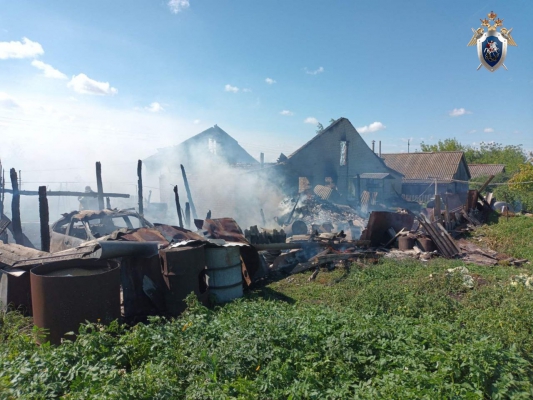 Мужчина погиб на пожаре в Большеболдинском районе