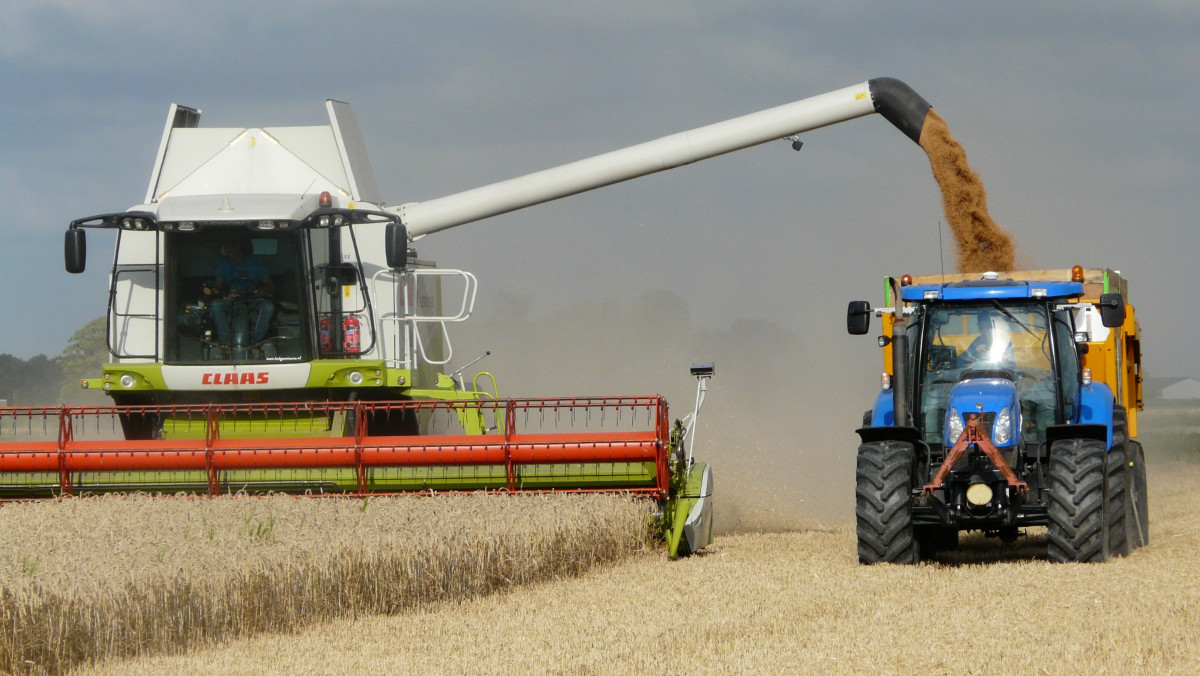 Более 500 тысяч тонн зерна уже собрали в Нижегородской области