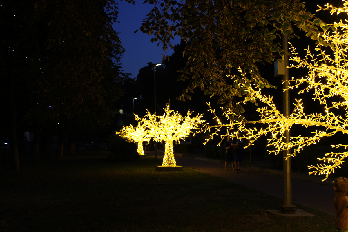 Светодиодные деревья установили на дорожке у Автозаводского парка