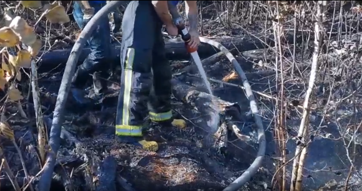 Почти 900 человек тушат лесной пожар в Воротынском районе