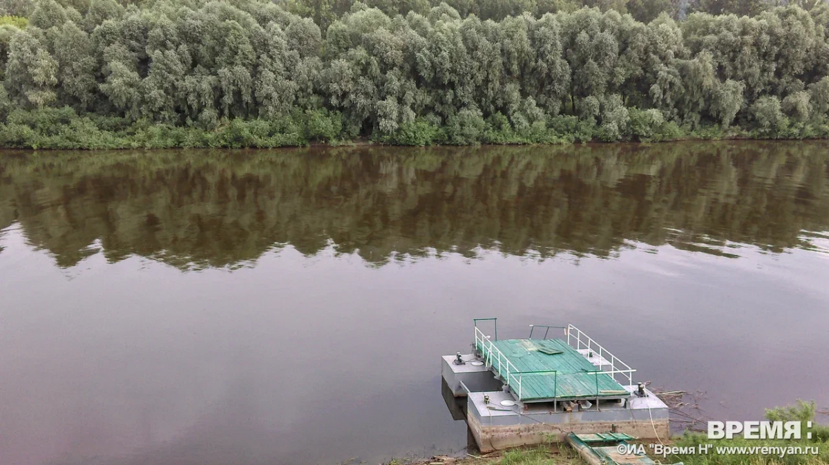 Мужчина утонул в реке Троца в Чкаловском районе