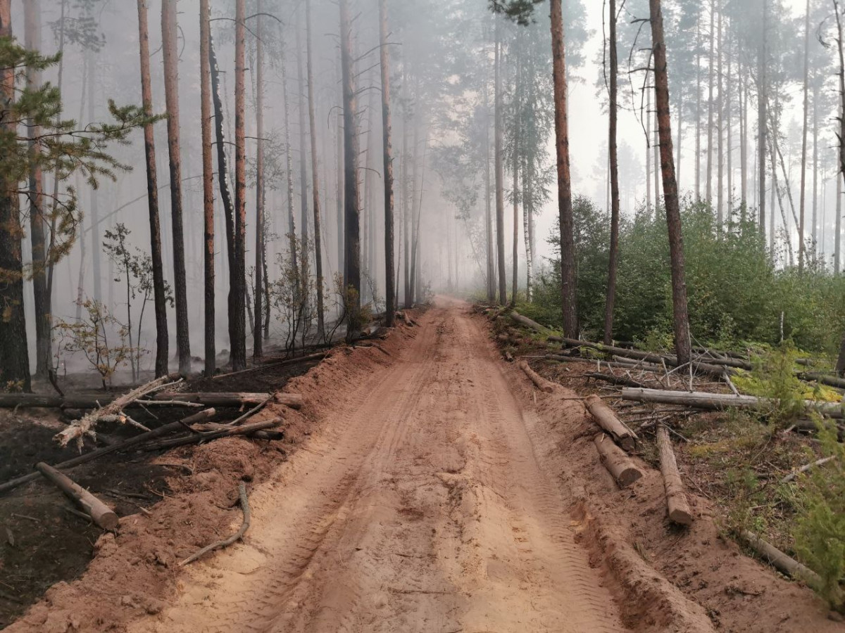Пожар в Воротынском округе ликвидирован