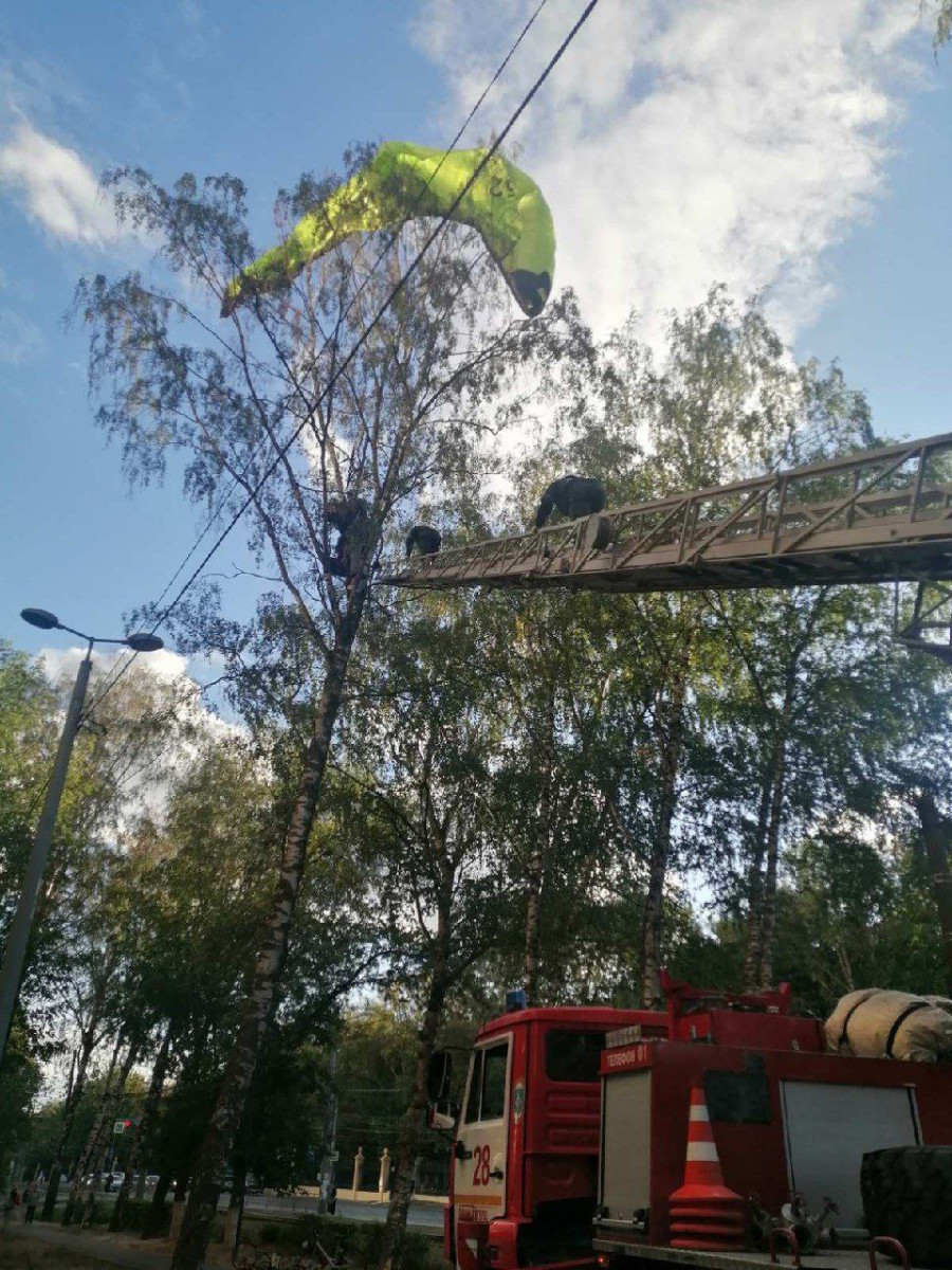 Застрявших на дереве парапланеристов спустили на землю в Нижнем Новгороде