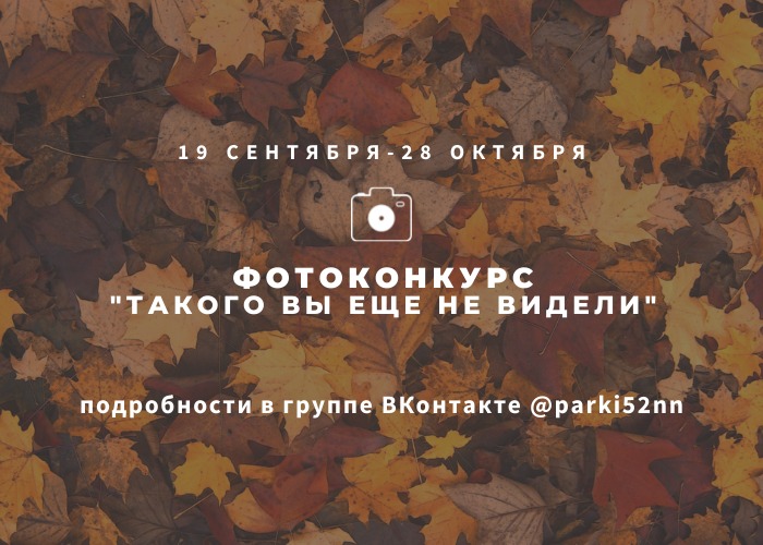 Фотоконкурс «Такого вы еще не видели» стартует в парках Нижнего Новгорода