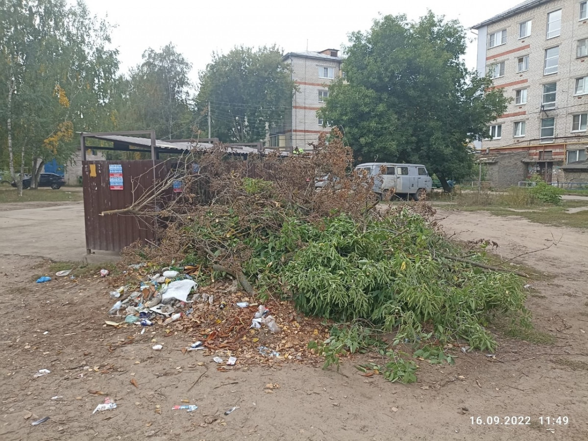 Нижегородцев попросили не выбрасывать траву и ветки в мусорные контейнеры