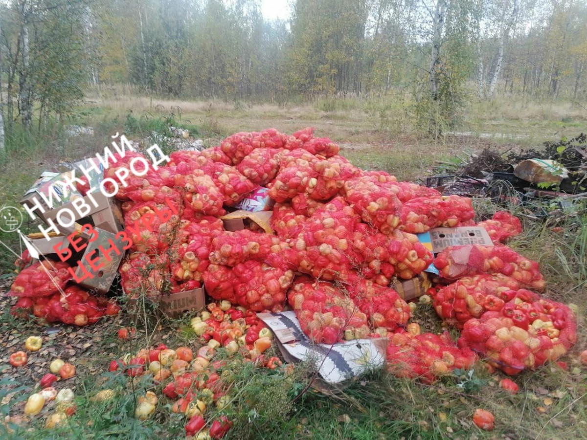 Свалку перцев обнаружили в нижегородском лесу