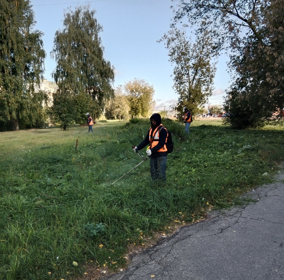 В администрации Нижнего Новгорода рассказали о покосе травы в холода