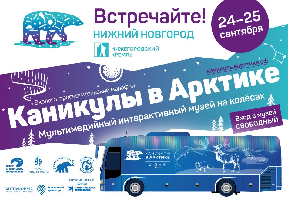 Виртуальную экскурсию «Каникулы в Арктике» проведут в Нижнем Новгороде