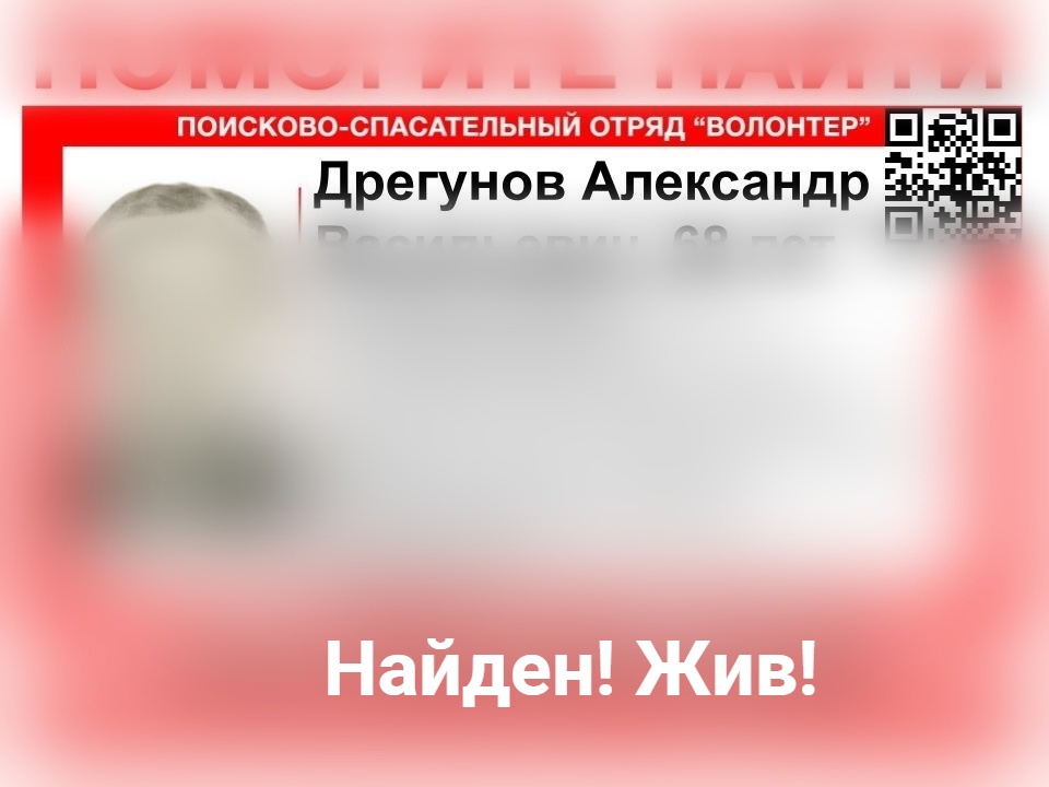 Пропавший в Нижегородской области Александр Дрегунов найден живым
