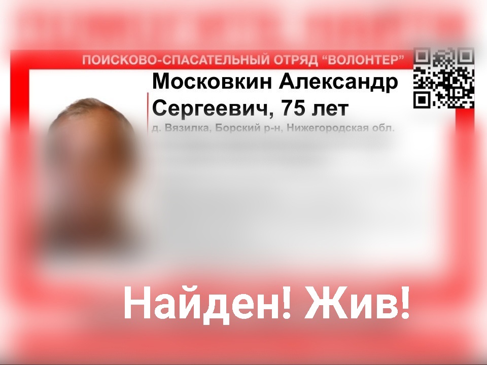 Пропавший в Борском районе Александр Московкин найден живым