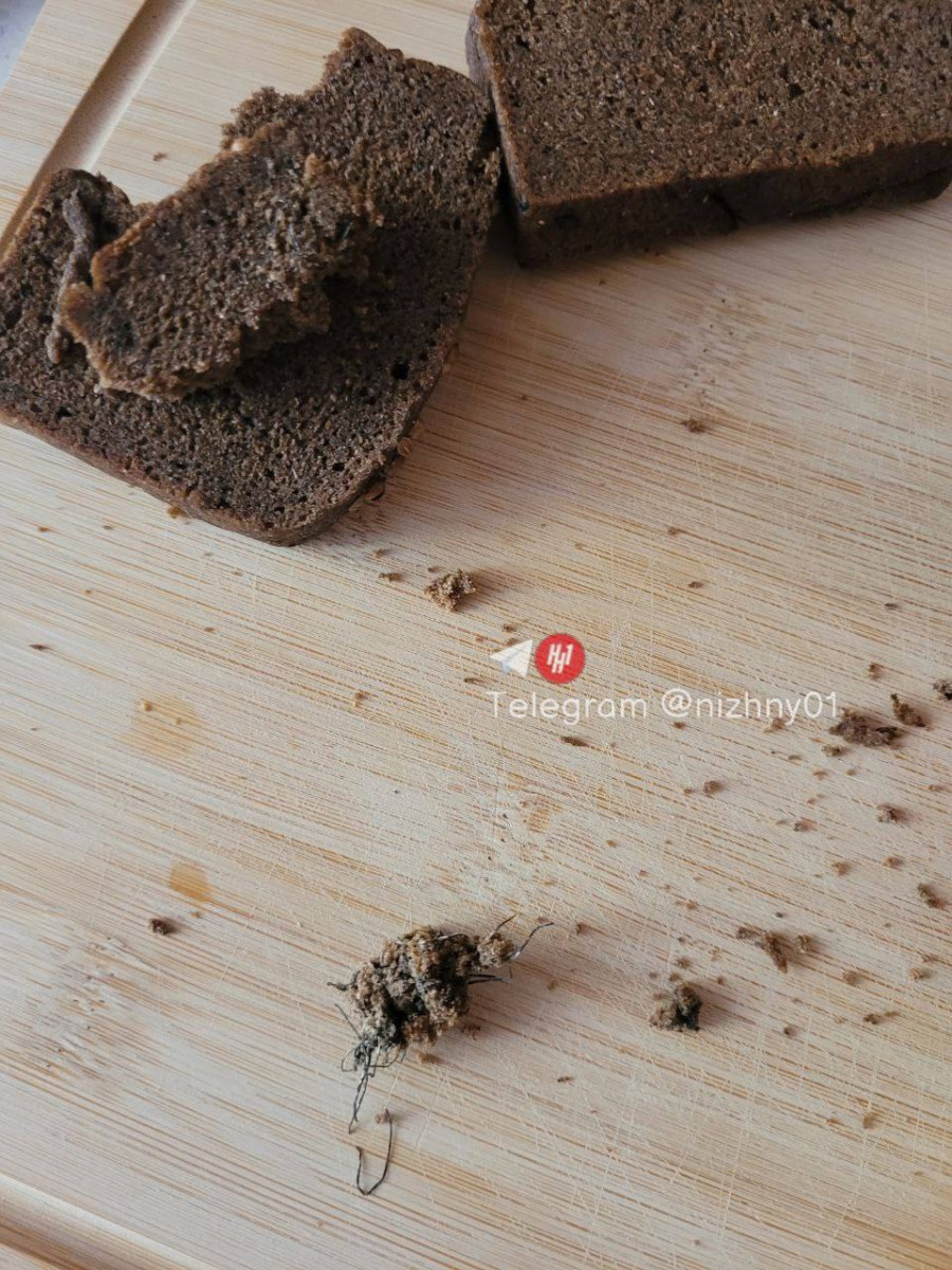 Житель Нижнего Новгорода нашел часть металлической губки в хлебе
