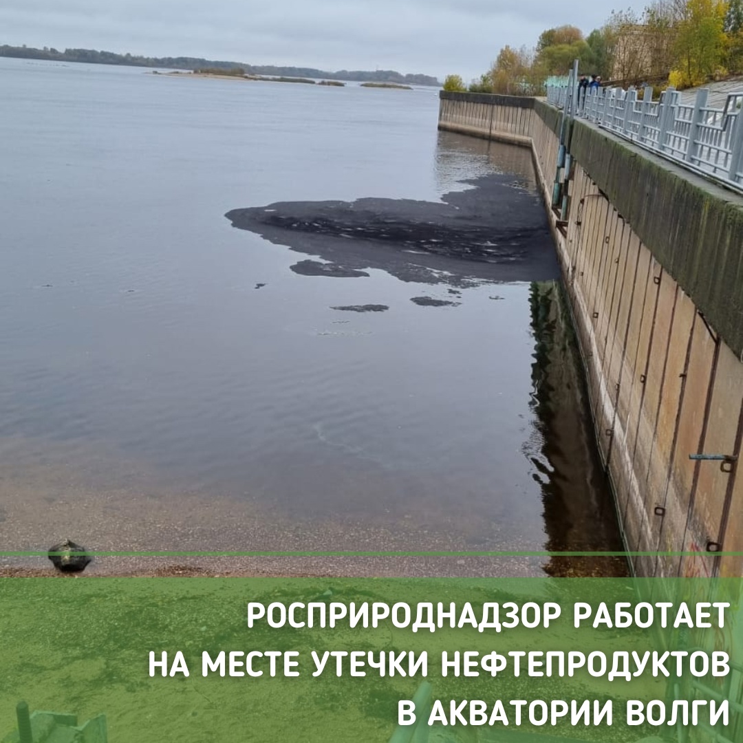 Площадь нефтяного пятна на Волге в Нижнем Новгороде достигла 100 квадратных метров