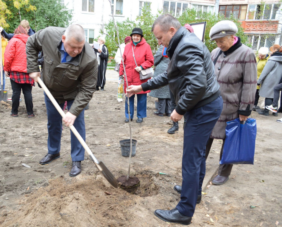 В Московском районе появилась рябиновая аллея в память о подвиге героев-панфиловцев