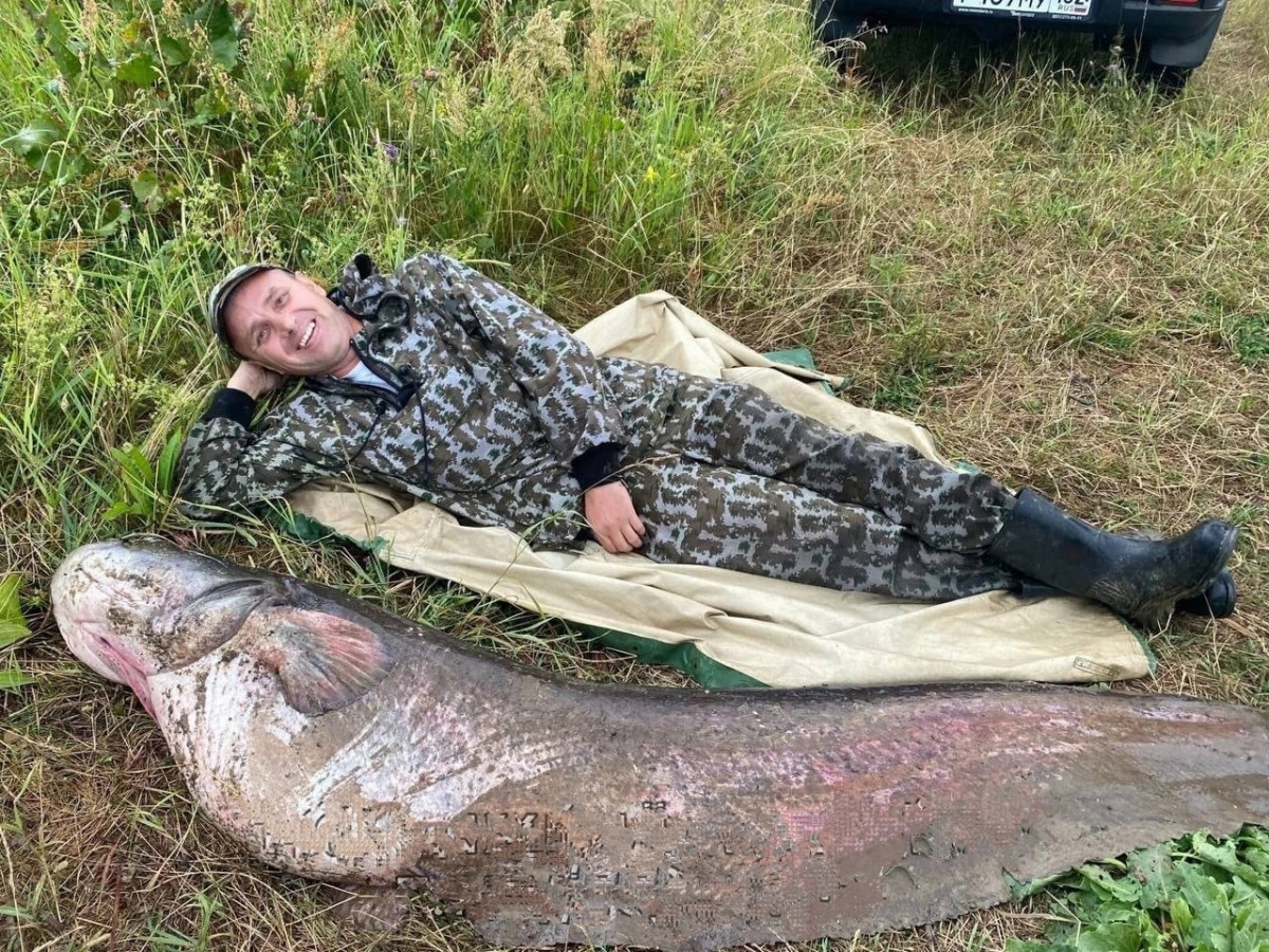 Нижегородец поймал гигантского сома в Павловском округе
