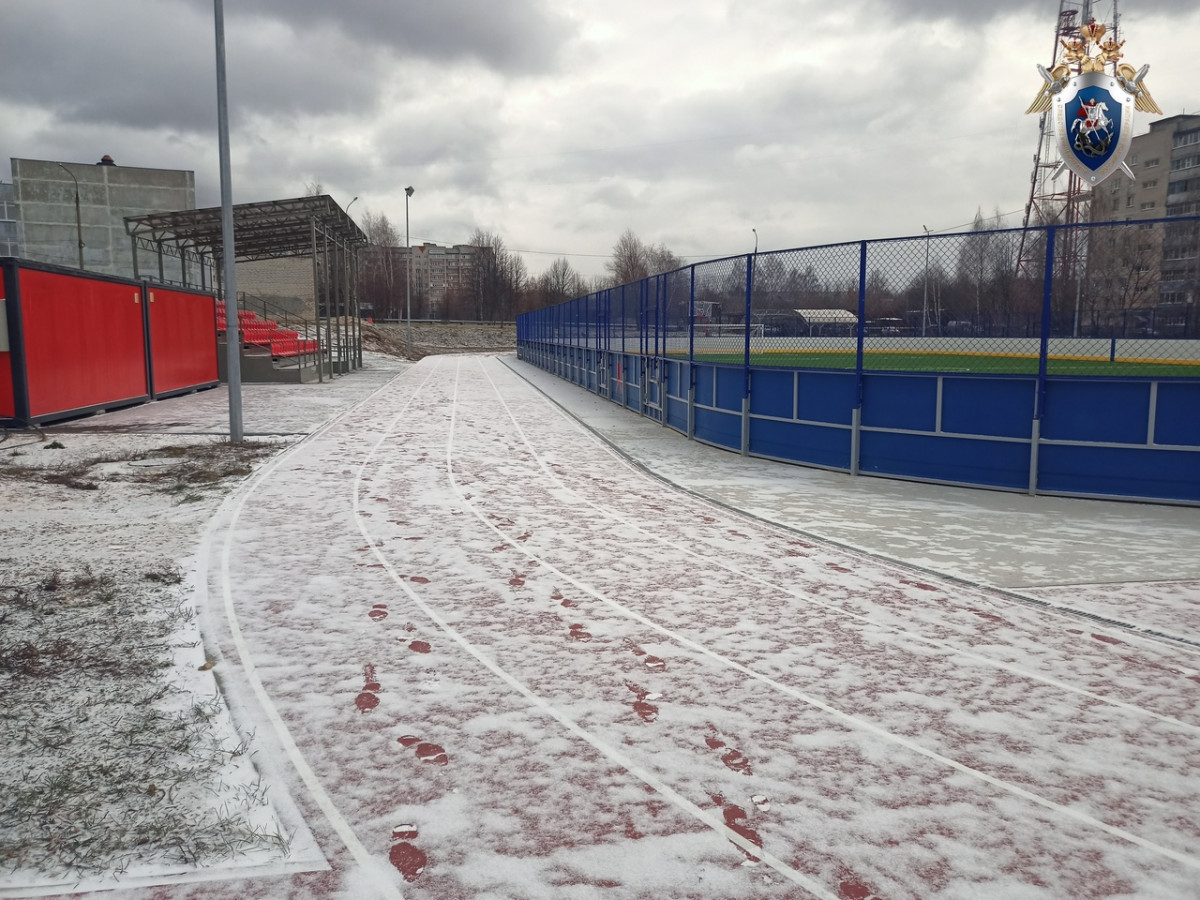 В Нижегородской области осудили директора подрядной компании за мошенничество