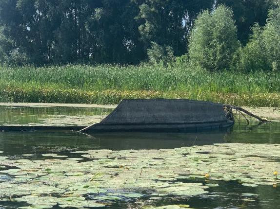 Администрацию Волжского бассейна обязали убрать остатки барж из реки в Лысковском округе