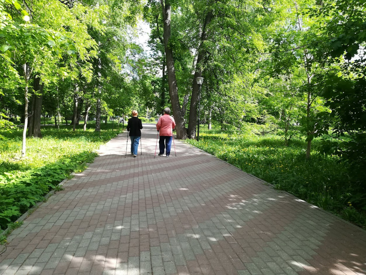 Нижегородский парк Кулибина благоустроят в 2023 году