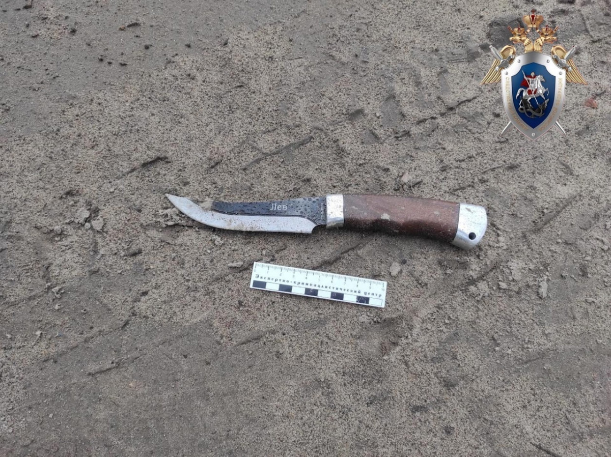 Жителя Арзамаса осудили за нападение с ножом на полицейского