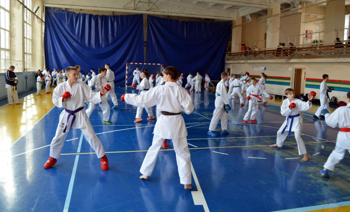 Городской турнир по каратэ пройдет в Нижнем Новгороде 27 ноября